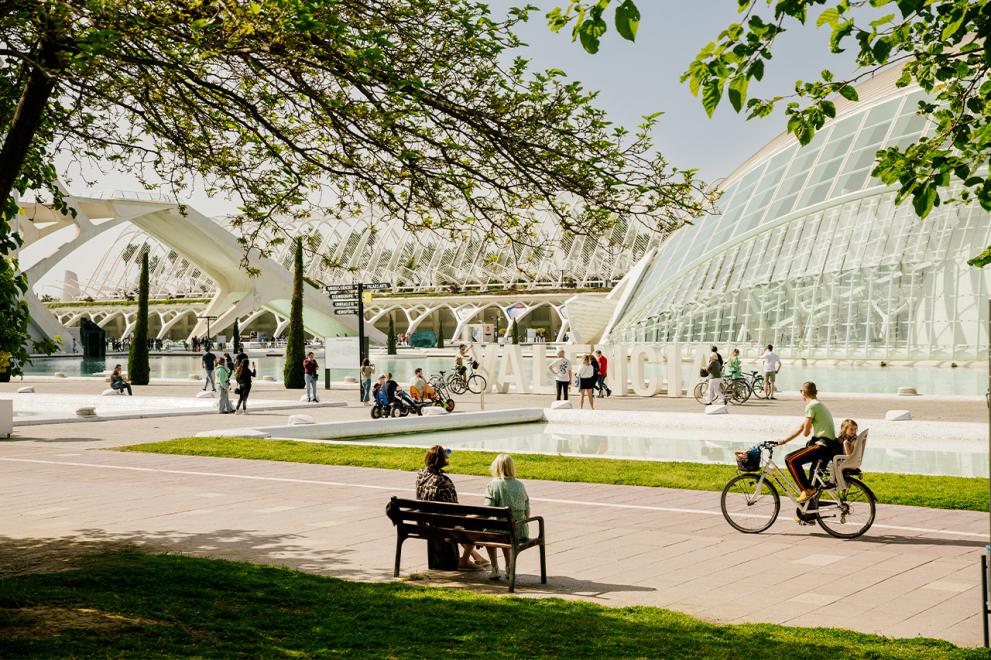 View of the Ciudad de la Artes y Ciencias in Valencia