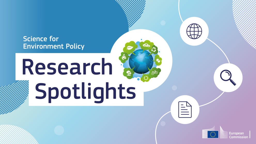 Research Spotlights banner
