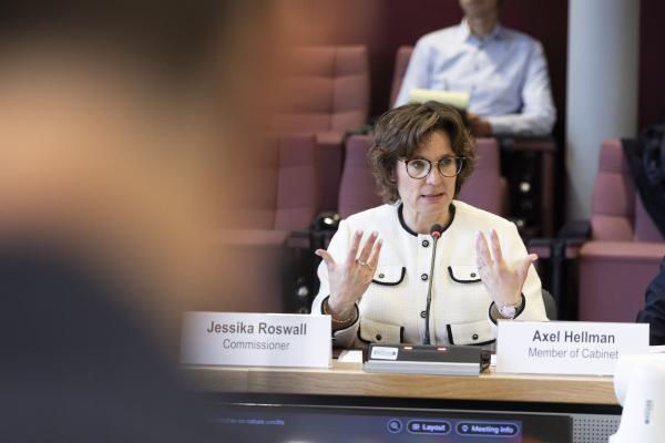 Participation of Jessika Roswall, European Commissioner, in the High-level Roundtable on Nature Credits